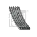 Vantilatör Kayışı  FEBI BILSTEIN 37533