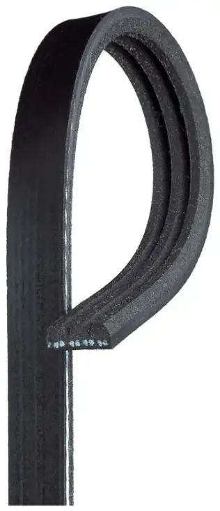 Vantilatör Kayışı  GATES 3PK550