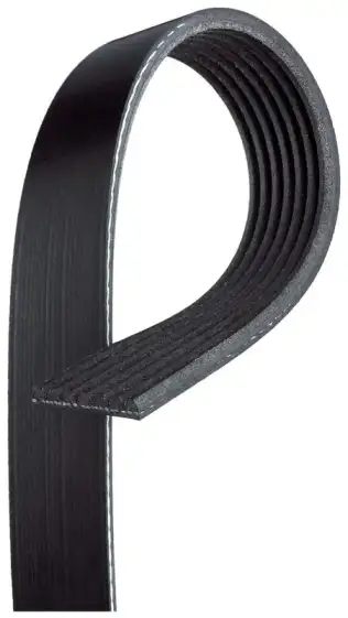 Vantilatör Kayışı  GATES 7PK1440HD