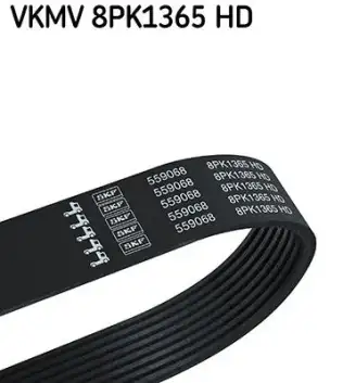 Vantilatör Kayışı  SKF VKMV 8PK1365 HD