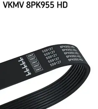 Vantilatör Kayışı  SKF VKMV 8PK955 HD