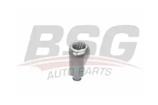 Vites Topuzu  BSG 65-465-015