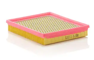 WIX 46425 Hava Filtresi
