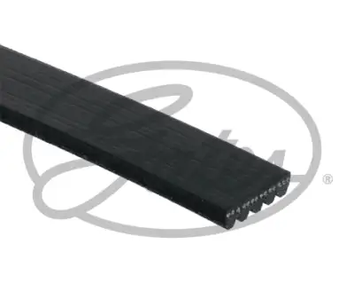 GATES 5PK1073 V Kayışı - 3. Görsel