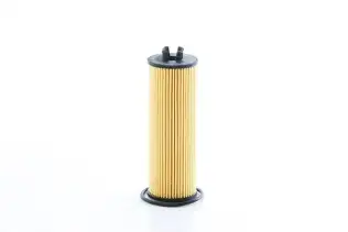 Yağ Filtresi  BSG 65-140-020