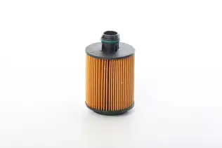 Yağ Filtresi  BSG 70-140-004