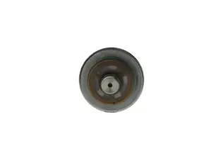 Yakıt Basınç Regülatörü BOSCH F 000 DR0 209