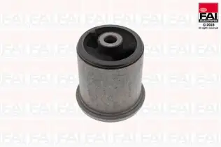 Yataklama, Aks Gövdesi FAI AutoParts SS11057