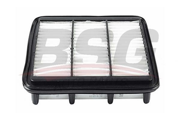 BSG 40135019 Hava Filtresi
