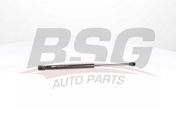 BSG 15980007 Motor Kaput Amortisörü