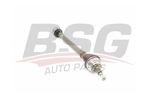 BSG 90350024 Aks Komple Ön Sağ
