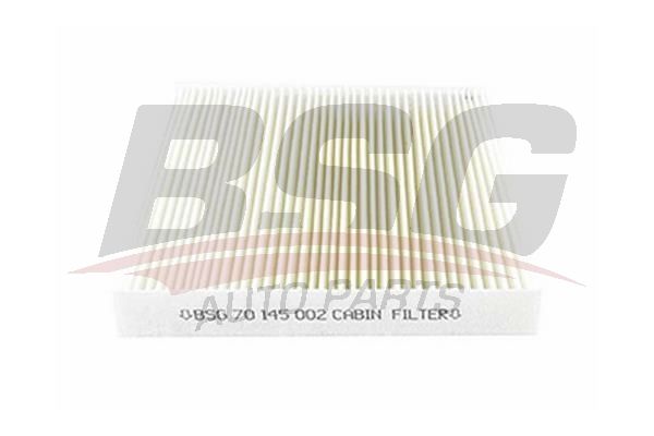 BSG 70145002 Polen Filtresi