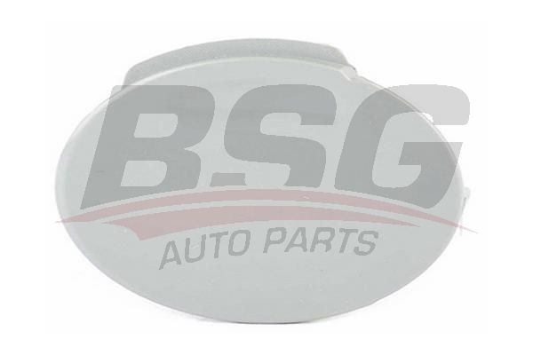 BSG 65922060 Çeki Demir Kapağı Ön