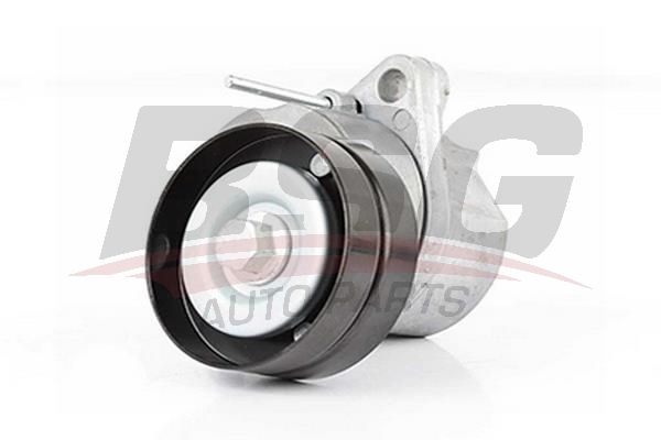 BSG 65615014 V Kayış Gergi Rulmanı