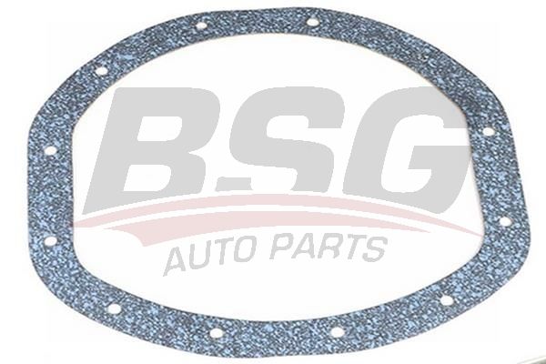 BSG 30116015 Diferansiyel Contası - . Görsel
