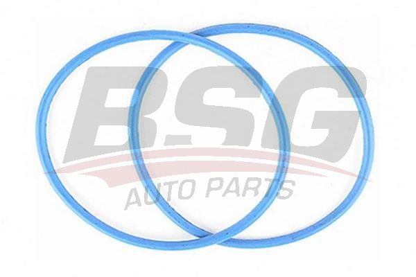 BSG 30116083 Termostat Kapak Oringi - . Görsel