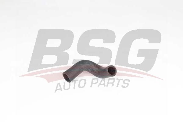 BSG 65700425 Motor Havalandırma Hortumu