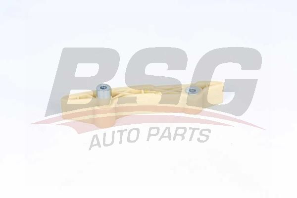 BSG 30109034 Eksantrik Zincir Gergisi