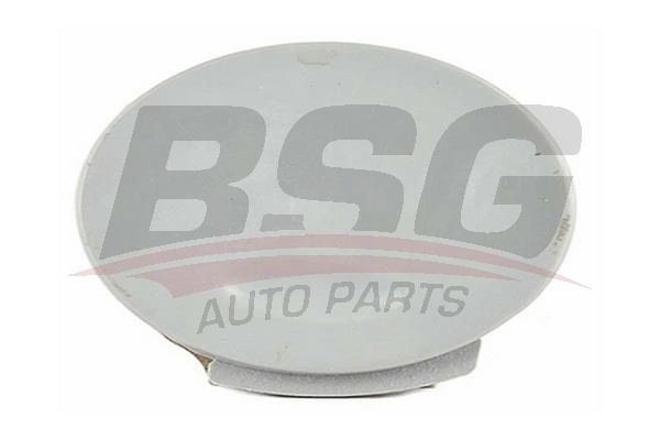 BSG 65922061 Çeki Demir Kapağı Arka