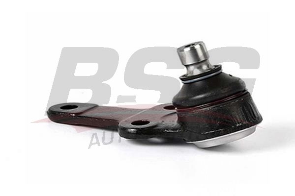 BSG 30310021 Rotil Alt