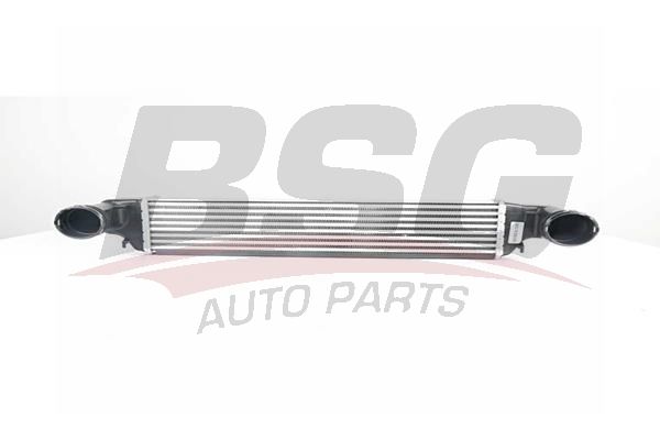 BSG 15535006 Turbo Radyatörü
