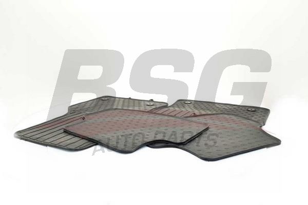 BSG 90934018 Paspas Takımı