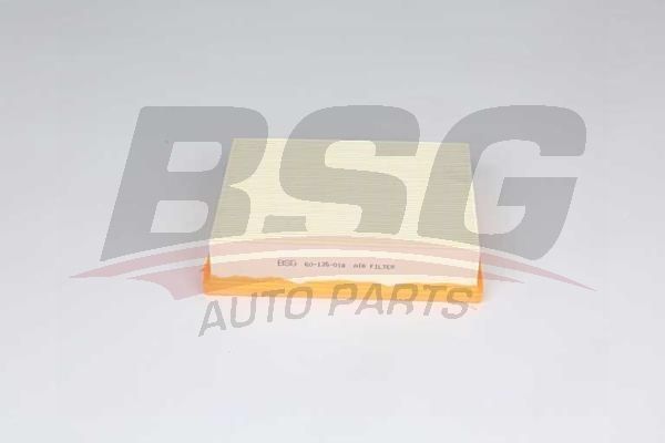 BSG 60135018 Hava Filtresi - . Görsel
