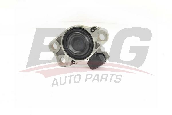 BSG 75705022 Motor Takozu Sağ