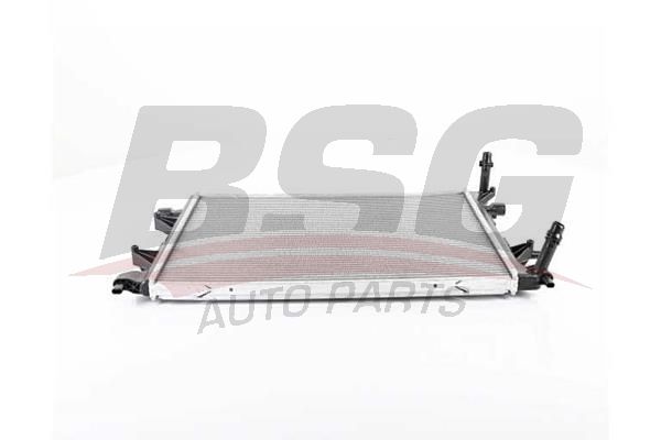 BSG 90520034 Su Radyatörü