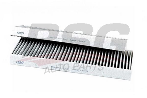 BSG 90145016 Polen Filtresi