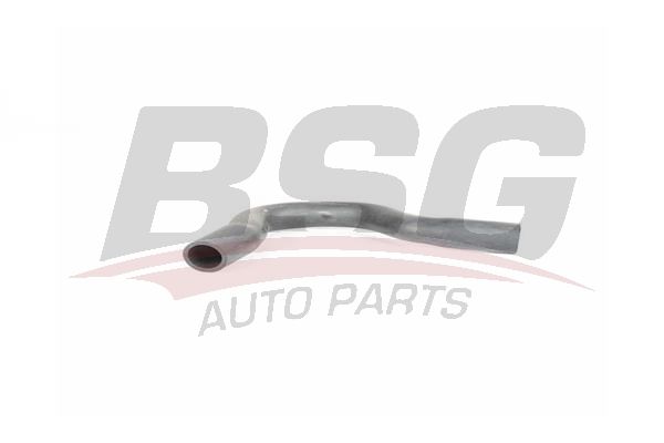 BSG 65720169 Yağlama Hortumu - 1. Görsel