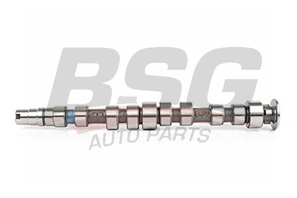 BSG 90108007 Eksantrik Mili - . Görsel