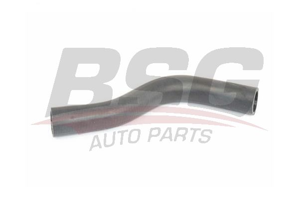 BSG 30720259 Manifold Su Hortumu - . Görsel