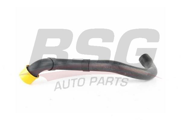 BSG 60720223 Radyatör Hortumu Alt - . Görsel