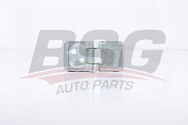 BSG 30975019 Kapı Menteşe Arka Alt
