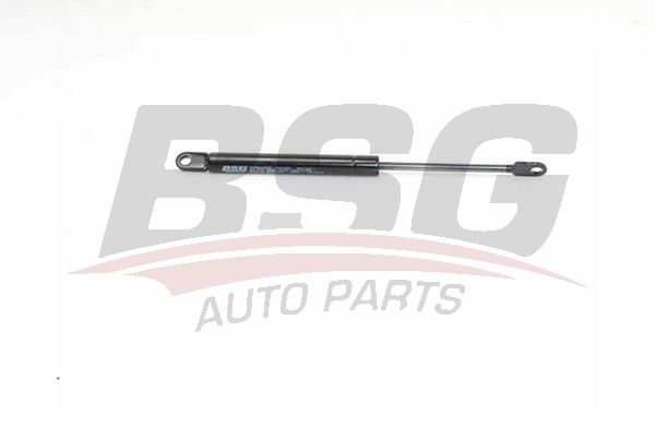 BSG 15980002 Motor Kaput Amortisörü