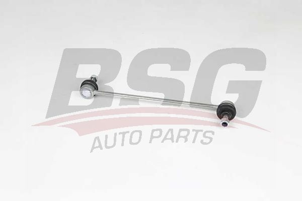 BSG 25310049 Viraj Askı Rotu Ön