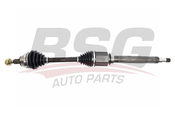 BSG 30350031 Aks Komple Ön Sağ - . Görsel