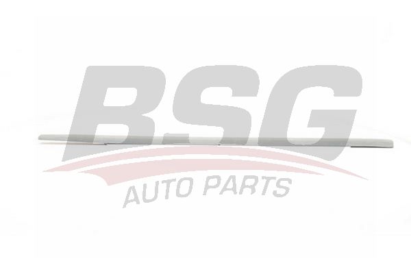 BSG 90924037 Kapı Bandı Ön Sol