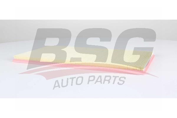 BSG 60135049 Hava Filtresi