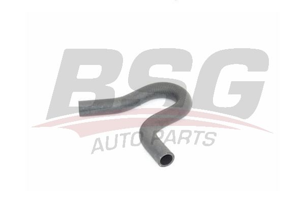 BSG 30720260 Direksiyon Hortumu