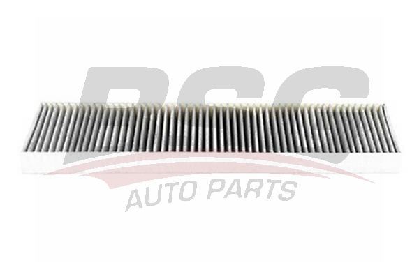 BSG 15145008 Polen Filtresi
