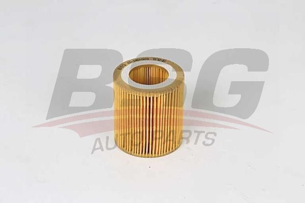 BSG 15140003 Yağ Filtresi