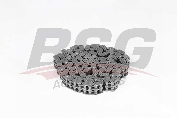 BSG 30105009 Eksantrik Zinciri
