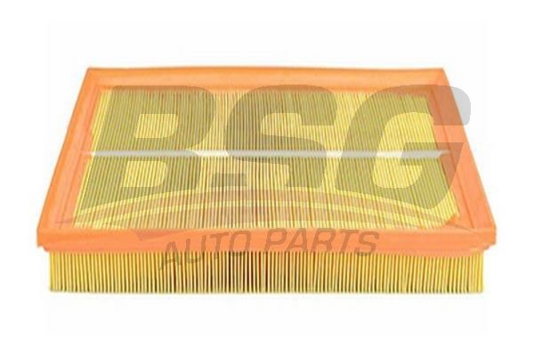 BSG 65135002 Hava Filtresi