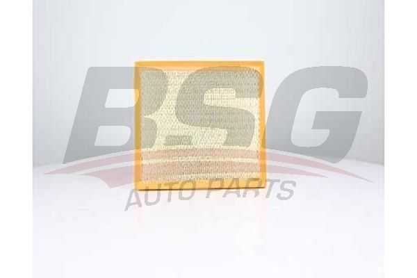 BSG 90135027 Hava Filtresi