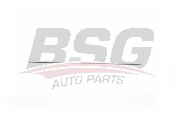 BSG 90924032 Kapı Bandı Arka Sağ