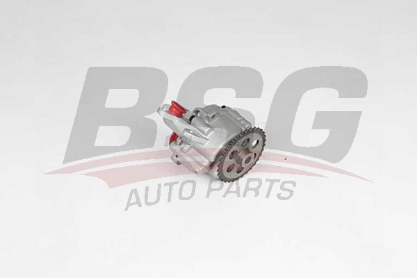 BSG 30101004 Yağ Pompası