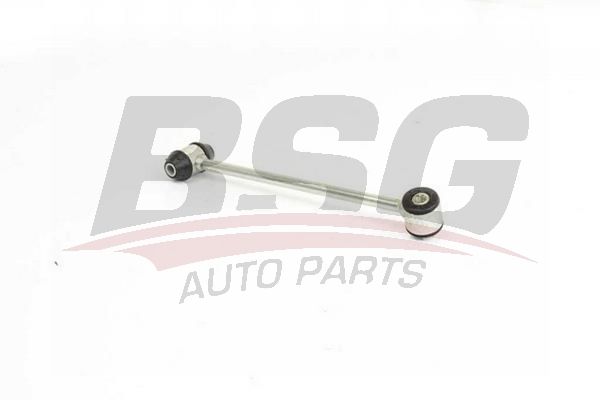 BSG 60310215 Viraj Askı Rotu Arka Sol
