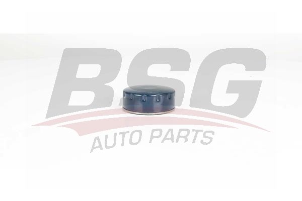 BSG 75140005 Yağ Filtresi